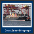 2014 shipping ocean freight from Shanghai to Haifa/Israel-FRANK